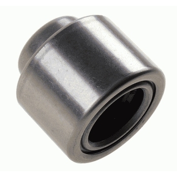 Pilot Bearing 189812510